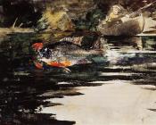 温斯洛 荷默 : An Unexpected Catch